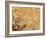 China, 1449-null-Framed Giclee Print