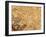 China, 1449-null-Framed Giclee Print