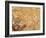 China, 1449-null-Framed Giclee Print