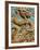 China, Beijing, Xicheng District, Behai Park, Detail of the Nine Dragon Screen-Walter Bibikow-Framed Photographic Print