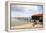 China Camp Pier-Lance Kuehne-Framed Premier Image Canvas