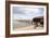 China Camp Pier-Lance Kuehne-Framed Photographic Print