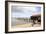 China Camp Pier-Lance Kuehne-Framed Photographic Print