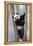 China, Chengdu, Chengdu Panda Base. Baby Giant Panda in Tree-Jaynes Gallery-Framed Premier Image Canvas