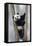 China, Chengdu, Chengdu Panda Base. Baby Giant Panda in Tree-Jaynes Gallery-Framed Premier Image Canvas