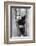 China, Chengdu, Chengdu Panda Base. Baby Giant Panda in Tree-Jaynes Gallery-Framed Photographic Print