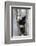 China, Chengdu, Chengdu Panda Base. Baby Giant Panda in Tree-Jaynes Gallery-Framed Photographic Print