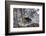 China, Chengdu Panda Base. Baby Giant Panda in Snowfall-Jaynes Gallery-Framed Photographic Print