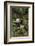 China, Chengdu Panda Base. Young Giant Panda Eating-Jaynes Gallery-Framed Photographic Print