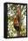 China, Chengdu, Wolong National Natural Reserve. Lesser Panda in Tree-Jaynes Gallery-Framed Premier Image Canvas