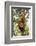 China, Chengdu, Wolong National Natural Reserve. Lesser Panda in Tree-Jaynes Gallery-Framed Photographic Print