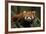 China, Chengdu, Wolong National Natural Reserve. Red or Lesser Panda Eating-Jaynes Gallery-Framed Photographic Print