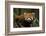 China, Chengdu, Wolong National Natural Reserve. Red or Lesser Panda Eating-Jaynes Gallery-Framed Photographic Print