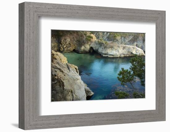 China Cove, Point Lobos Natural Reserve, Carmel, California, USA-Michel Hersen-Framed Photographic Print