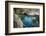 China Cove, Point Lobos Natural Reserve, Carmel, California, USA-Michel Hersen-Framed Photographic Print