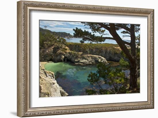 China Cove, Point Lobos State Reserve, Carmel, California, USA-Michel Hersen-Framed Photographic Print