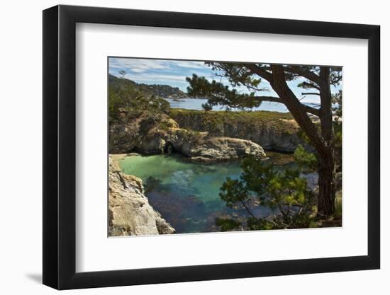 China Cove, Point Lobos State Reserve, Carmel, California, USA-Michel Hersen-Framed Photographic Print