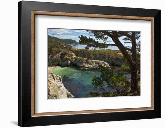 China Cove, Point Lobos State Reserve, Carmel, California, USA-Michel Hersen-Framed Photographic Print