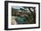 China Cove, Point Lobos State Reserve, Carmel, California, USA-Michel Hersen-Framed Photographic Print