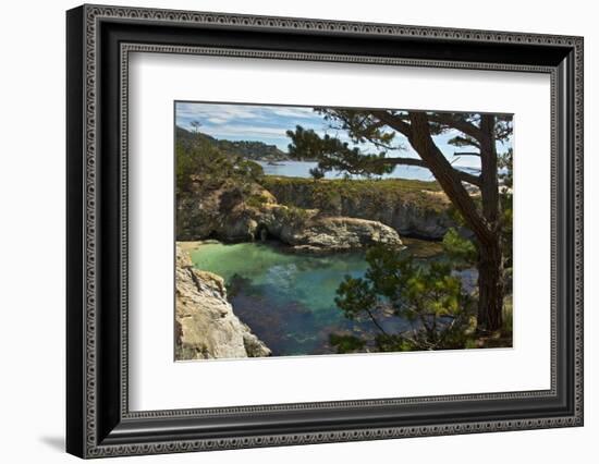 China Cove, Point Lobos State Reserve, Carmel, California, USA-Michel Hersen-Framed Photographic Print