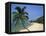 China, Hainan Island, Sanya, Beach Scene at Tianya-Haijiao Tourist Zone-Steve Vidler-Framed Premier Image Canvas