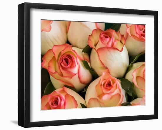 China, Hong Kong. Closeup of roses at a flower market.-Julie Eggers-Framed Photographic Print