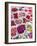 China, Hong Kong. Flower market.-Julie Eggers-Framed Photographic Print