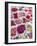 China, Hong Kong. Flower market.-Julie Eggers-Framed Photographic Print