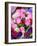 China, Hong Kong. Flower market.-Julie Eggers-Framed Photographic Print