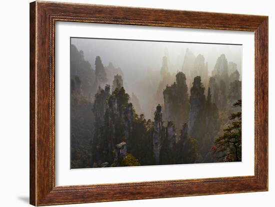 China, Hunan Province, Zhangjiajie National Forest Park-Tuul And Bruno Morandi-Framed Photographic Print