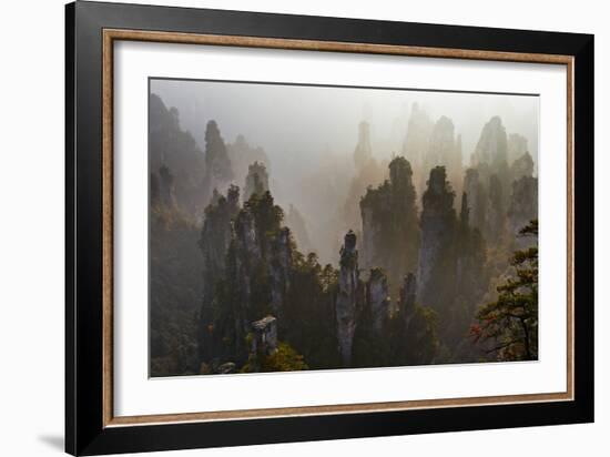 China, Hunan Province, Zhangjiajie National Forest Park-Tuul And Bruno Morandi-Framed Photographic Print