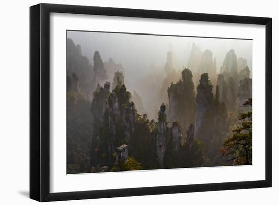 China, Hunan Province, Zhangjiajie National Forest Park-Tuul And Bruno Morandi-Framed Photographic Print