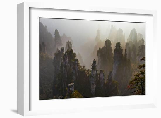 China, Hunan Province, Zhangjiajie National Forest Park-Tuul And Bruno Morandi-Framed Photographic Print