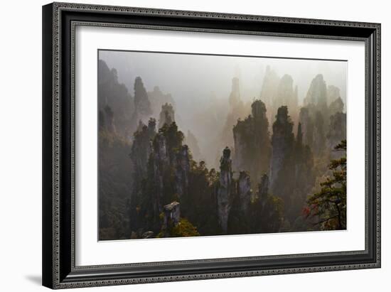 China, Hunan Province, Zhangjiajie National Forest Park-Tuul And Bruno Morandi-Framed Photographic Print