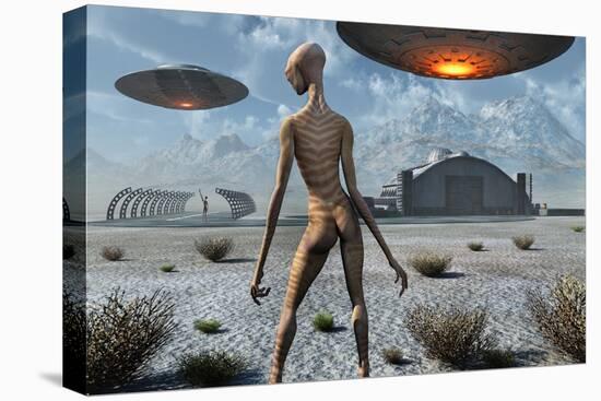 Stretched Canvas Print, , large