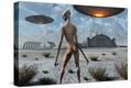 Stretched Canvas Print