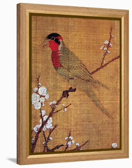 China: Parakeet-Emperor Hui-tsung-Framed Premier Image Canvas