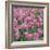 China Pink-Bent Rej-Framed Giclee Print