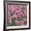 China Pink-Bent Rej-Framed Giclee Print