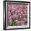 China Pink-Bent Rej-Framed Giclee Print