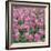 China Pink-Bent Rej-Framed Giclee Print