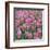 China Pink-Bent Rej-Framed Giclee Print