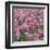 China Pink-Bent Rej-Framed Giclee Print