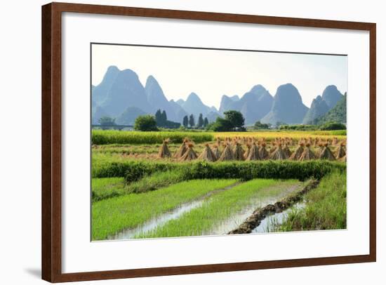 China, Rice Fields at the Yulong River, Landscape, Karst Mountains-Catharina Lux-Framed Photographic Print