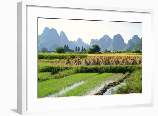 China, Rice Fields at the Yulong River, Landscape, Karst Mountains-Catharina Lux-Framed Photographic Print