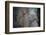 China, Shaanxi, Lintong District, Xian. the Terracotta Warriors-Janis Miglavs-Framed Photographic Print