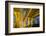 China, Shanghai, Towering Overpass of Yan'An Expressway and City-Paul Souders-Framed Photographic Print