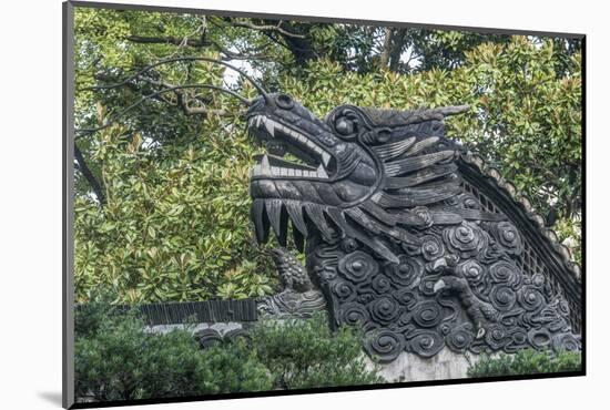 China, Shanghai. Yu Garden dragon.-Rob Tilley-Mounted Photographic Print