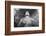 China, Shanxi Province, Datong, Ancient Sculptures in Yungang Caves-Paul Souders-Framed Photographic Print