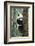 China, Sichuan, Chengdu, Giant Panda Bear at Chengdu Research Base-Paul Souders-Framed Photographic Print